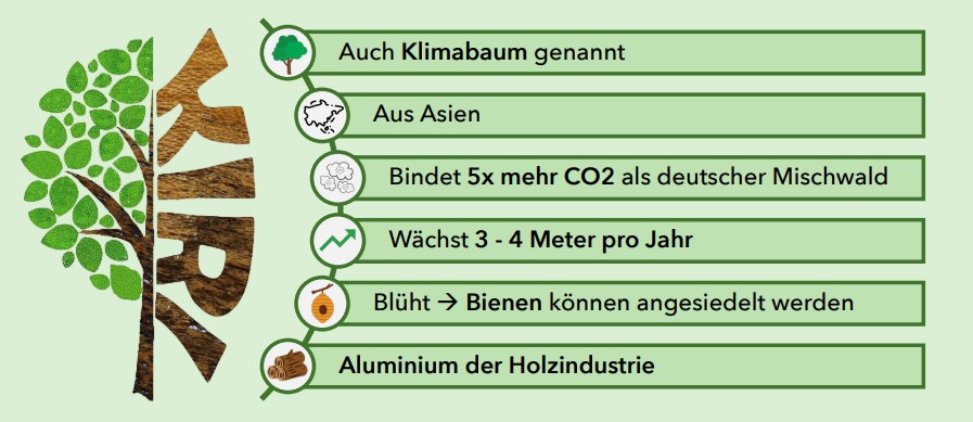 Plant Your Tree CO2 Zertifikat