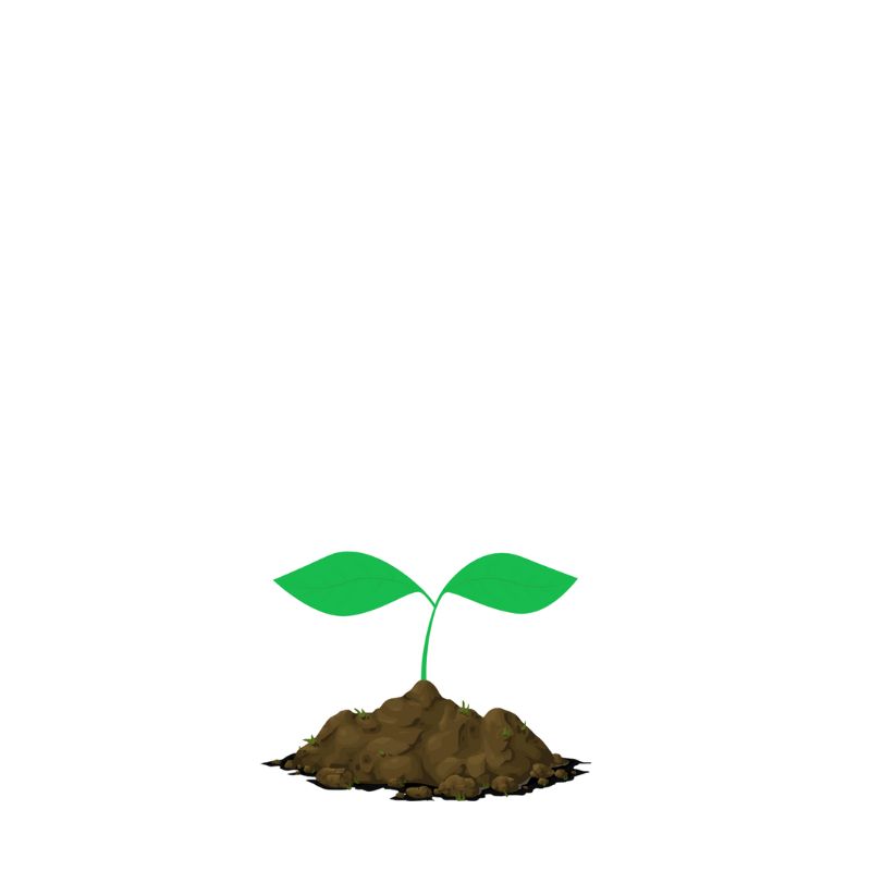Plant Your Tree Baum kaufen