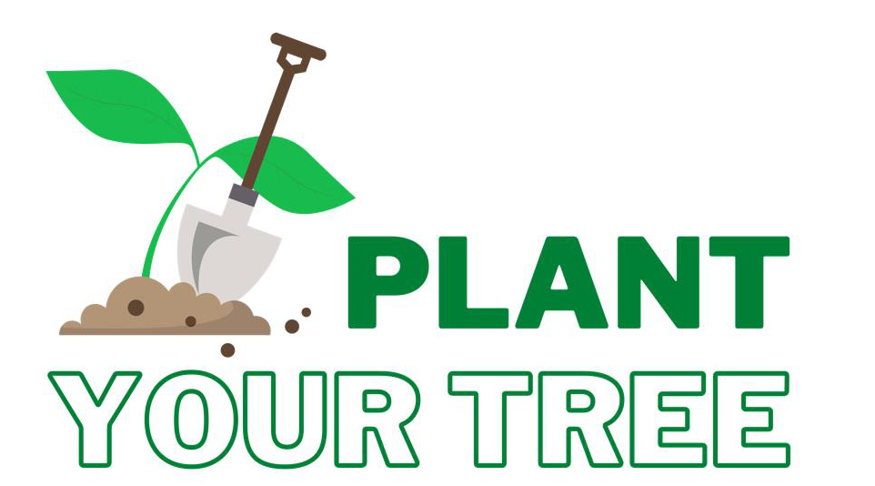 Plant Your Tree